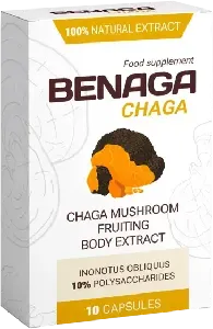 Benaga Chaga Vision