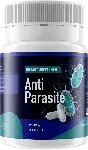 Anti Parasite