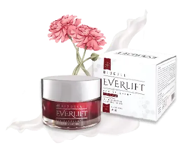 Everlift #1