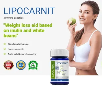 Lipocarnit #3