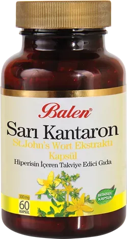 Sari Kantaron