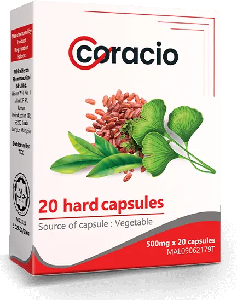 Coracio Joints