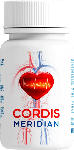 Cordis Meridian