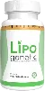Lipogenetic