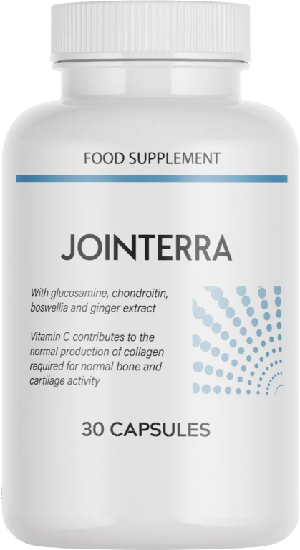 Jointerra