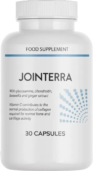 Jointerra