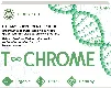 T-Chrome