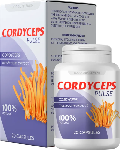 Cordyceps Pulse liver