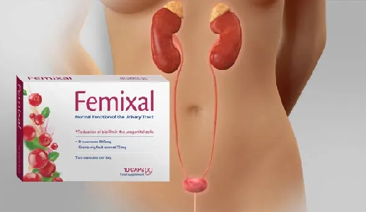 Femixal #1