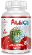 Pileice
