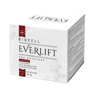 Everlift