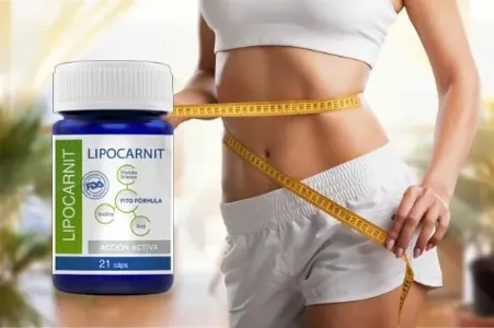 Lipocarnit #2