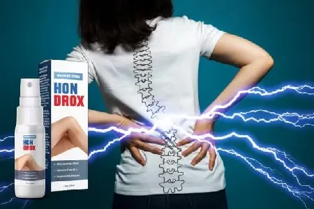 Hondrox #1